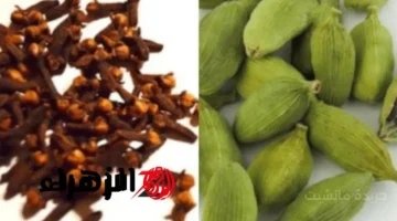 بـ 5 حبات فقط.. اكتشفي سر القرنفل قبل النوم وفوائده غير المتوقعة للجسم 1